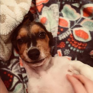 Meet your Posher, Katelyn